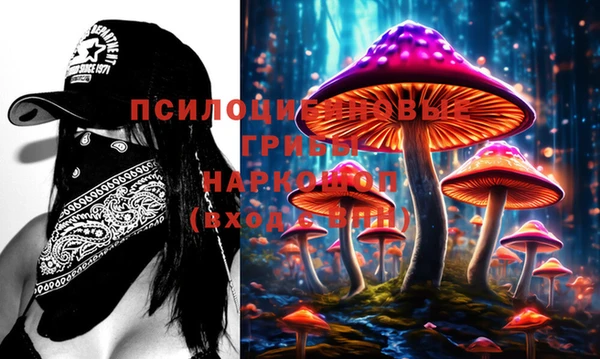 марки lsd Краснослободск