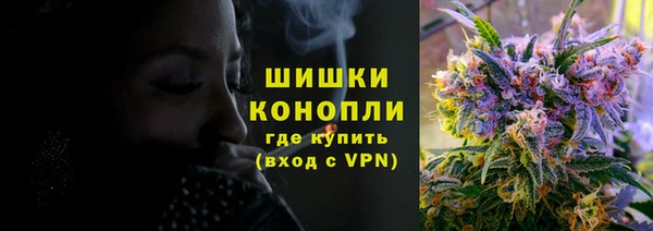 шишки Краснотурьинск