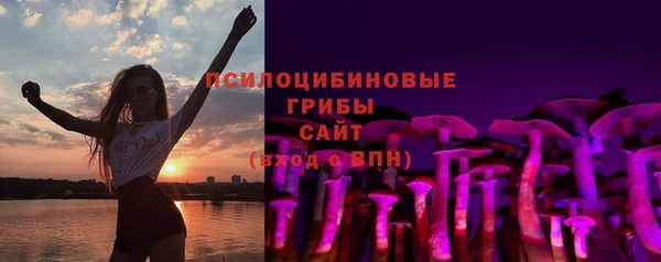шишки Краснотурьинск
