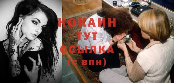 шишки Краснотурьинск