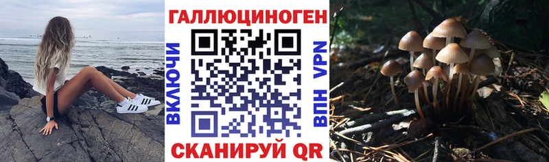 Галлюциногенные грибы ЛСД  Купить  Павловская 